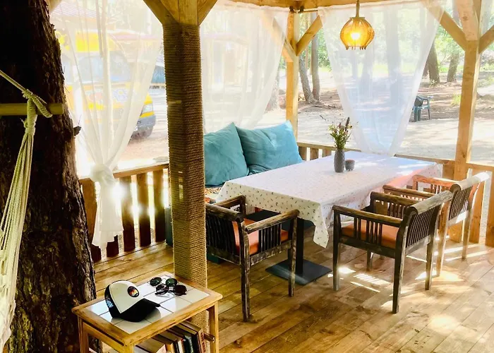 каравана безвремие Chernomorets