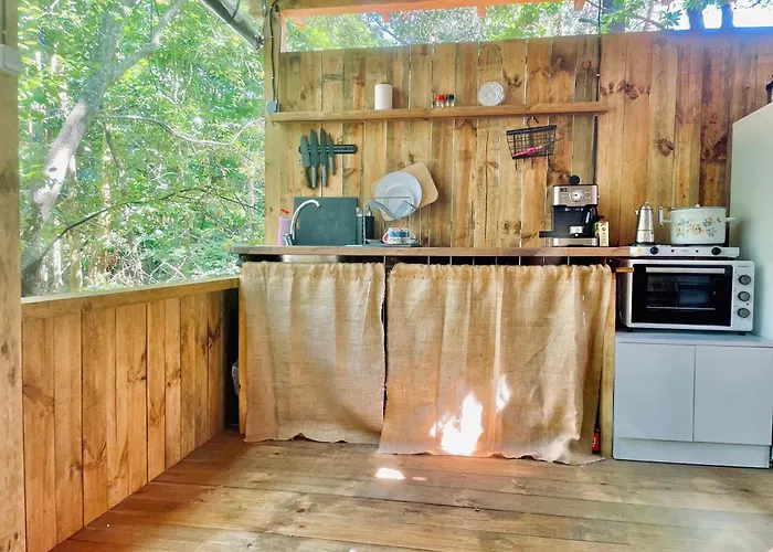 каравана безвремие Chernomorets