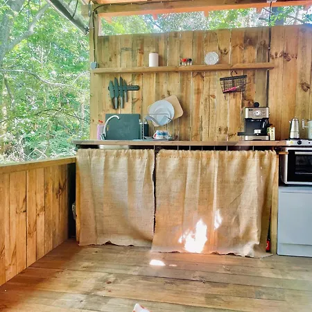 каравана безвремие צ'רנומורץ