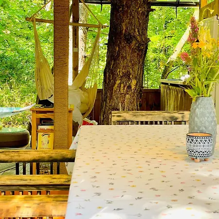 каравана безвремие