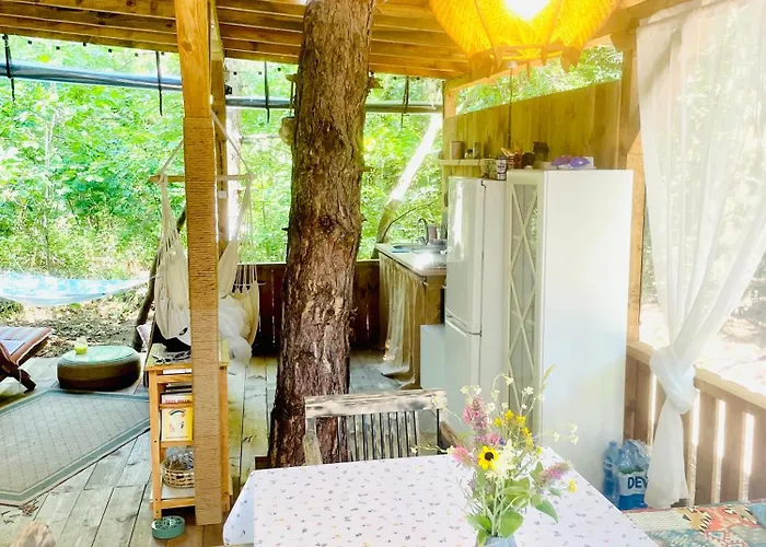 каравана безвремие 营地 *