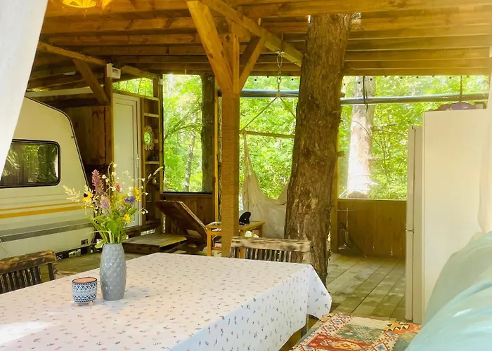 каравана безвремие 营地 *