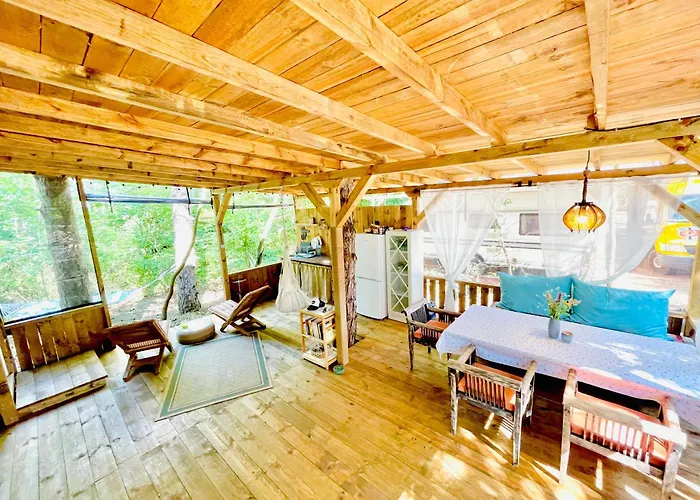 каравана безвремие *